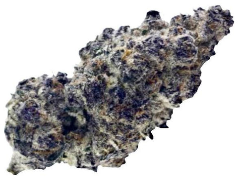 Image of Black Velvet - Premium THCA Hemp Flower