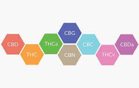 Terms & Definitions in the Realm of CBD